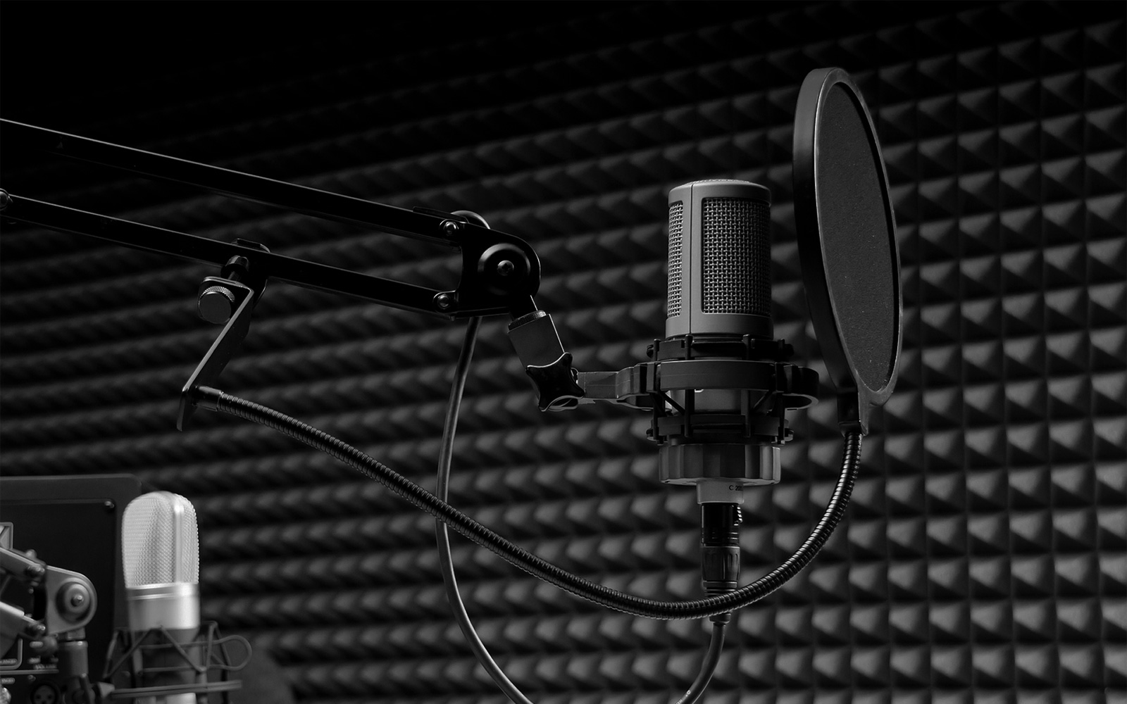 recording studio voice